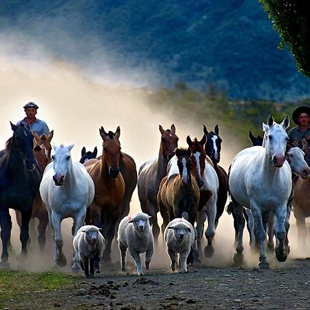 Estancia Nibepo Aike Colonia Francisco Perito Moreno Dış mekan fotoğraf