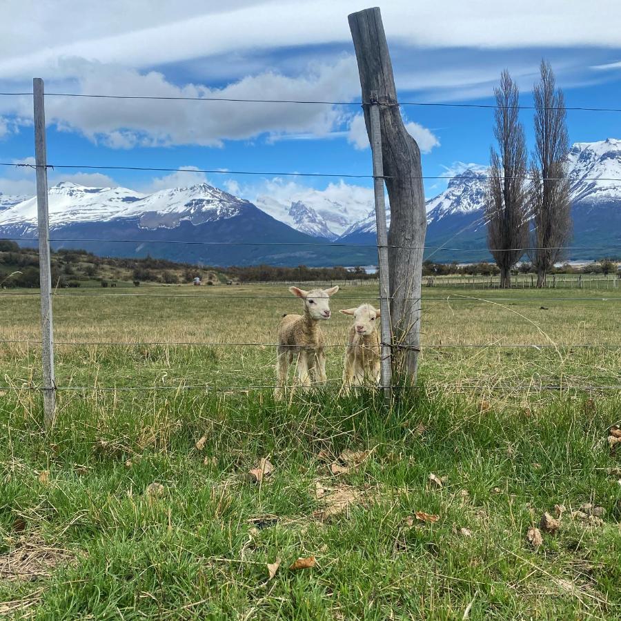 Estancia Nibepo Aike Colonia Francisco Perito Moreno Dış mekan fotoğraf