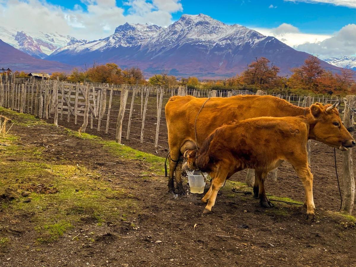 Estancia Nibepo Aike Colonia Francisco Perito Moreno Dış mekan fotoğraf
