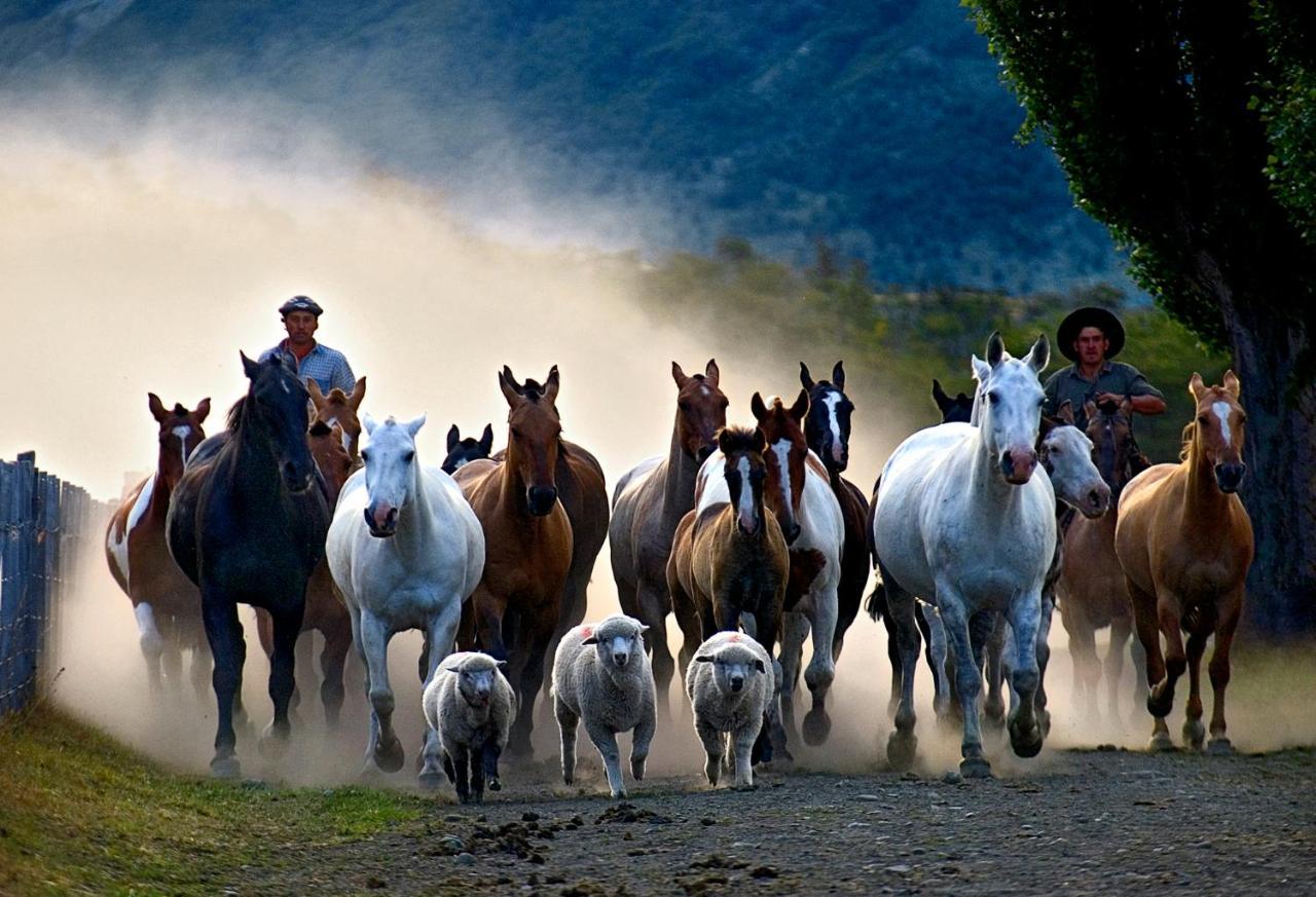 Estancia Nibepo Aike Colonia Francisco Perito Moreno Dış mekan fotoğraf