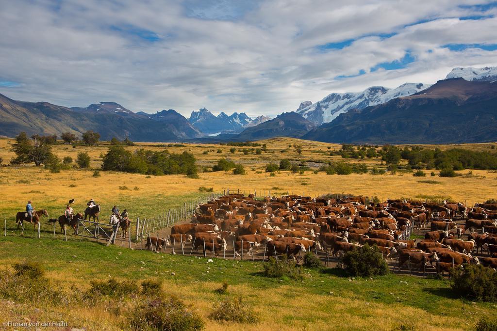 Estancia Nibepo Aike Colonia Francisco Perito Moreno Dış mekan fotoğraf