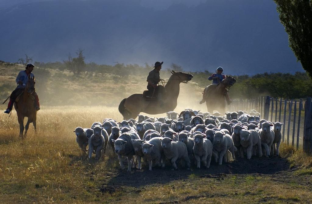 Estancia Nibepo Aike Colonia Francisco Perito Moreno Dış mekan fotoğraf